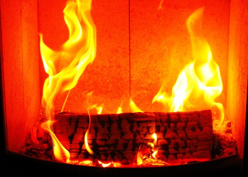 Herbst, Herbstwald, Hirsch, Schaf, Herbstimpressionen, Autumn, Fall, der Herbst ist da, Herbstwanderung, benbino