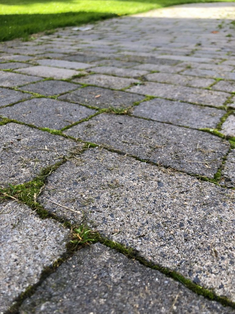 Gloria, Multibrush, Akku, Fugenreiniger, Vertikutierer, Fugen reinigen, Pflasterfugen, Terrassenfugen, Plattenfugen, Garten, Unkrautentfernung, Unkraut entfernen, benbino