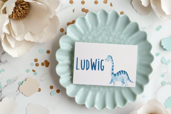 Kindergeburtstag, Mottogeburtstag, Motto, Geburtstag, benbino, Dinosaurier, Dinos, Platzkarten, Tischkarten, Namenskarten