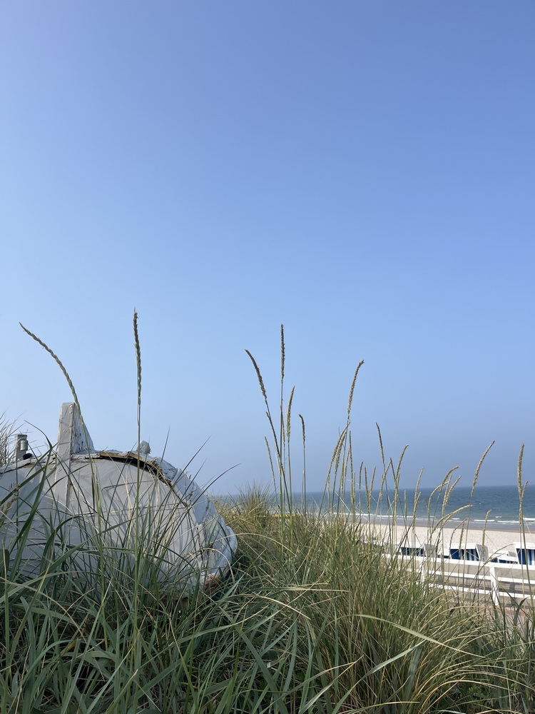 Sylt, 2025, Juni, Sylturlaub, Urlaub, Familienurlaub, Urlaub mit Hund, Westerland, Nordsee, Nordseeinsel, Sehnsuchtsort, Lieblingsinsel, benbino