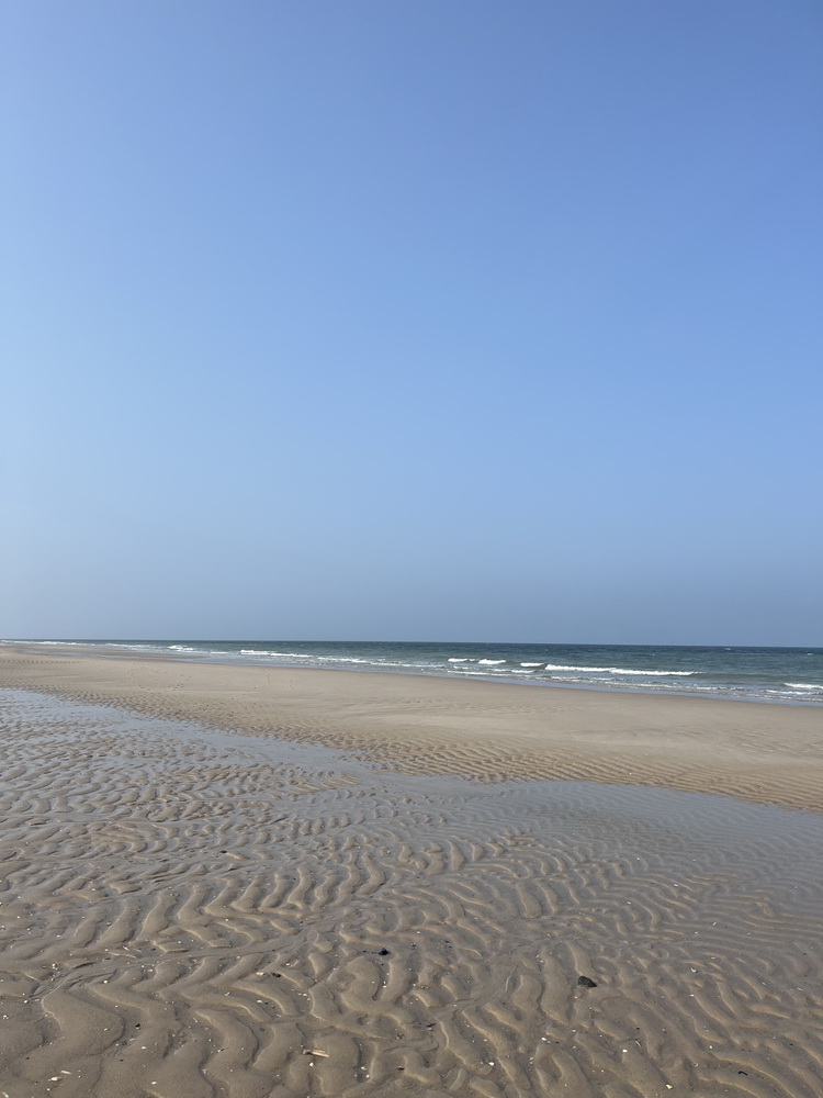 Sylt, 2025, Juni, Sylturlaub, Urlaub, Familienurlaub, Urlaub mit Hund, Westerland, Nordsee, Nordseeinsel, Sehnsuchtsort, Lieblingsinsel, benbino