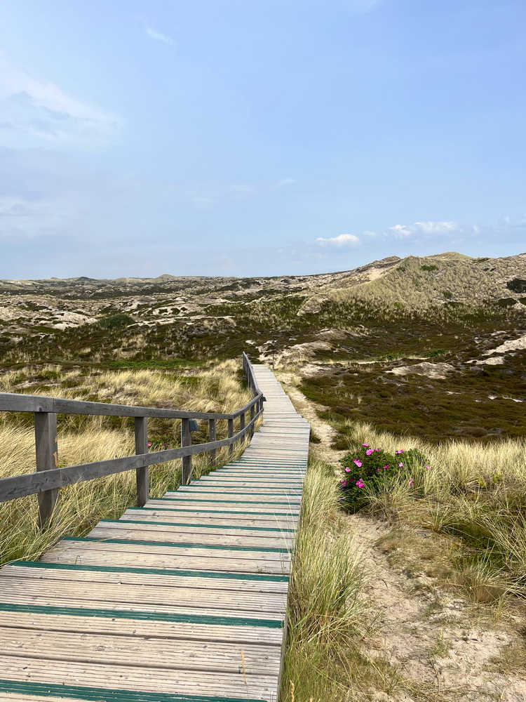Sylt, 2025, Juni, Sylturlaub, Urlaub, Familienurlaub, Urlaub mit Hund, Westerland, Nordsee, Nordseeinsel, Sehnsuchtsort, Lieblingsinsel, benbino