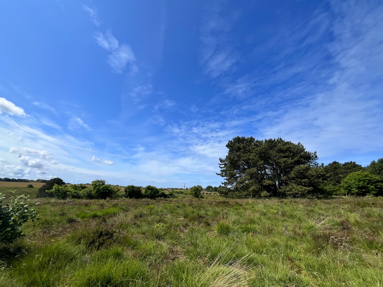 Sylt, 2025, Juni, Sylturlaub, Urlaub, Familienurlaub, Urlaub mit Hund, Westerland, Nordsee, Nordseeinsel, Sehnsuchtsort, Lieblingsinsel, benbino