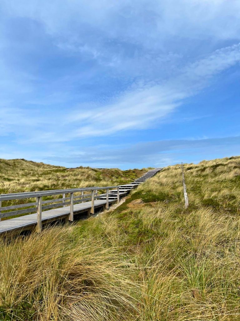 Sylt, 2025, Juni, Sylturlaub, Urlaub, Familienurlaub, Urlaub mit Hund, Westerland, Nordsee, Nordseeinsel, Sehnsuchtsort, Lieblingsinsel, benbino