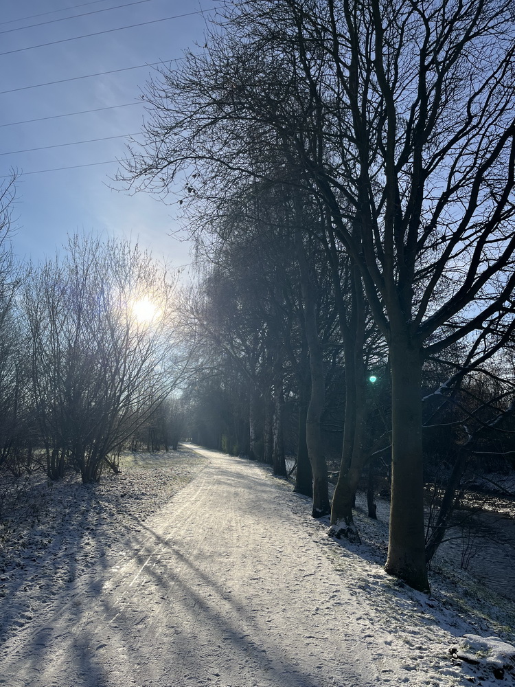 benbino Winter Schnee Puderzucker Sauerland Menden Kindergeburtstag Download Deko Herunterladen Beagle Hunderunde Winterwonderland Winterspaziergang blog Schneewanderung