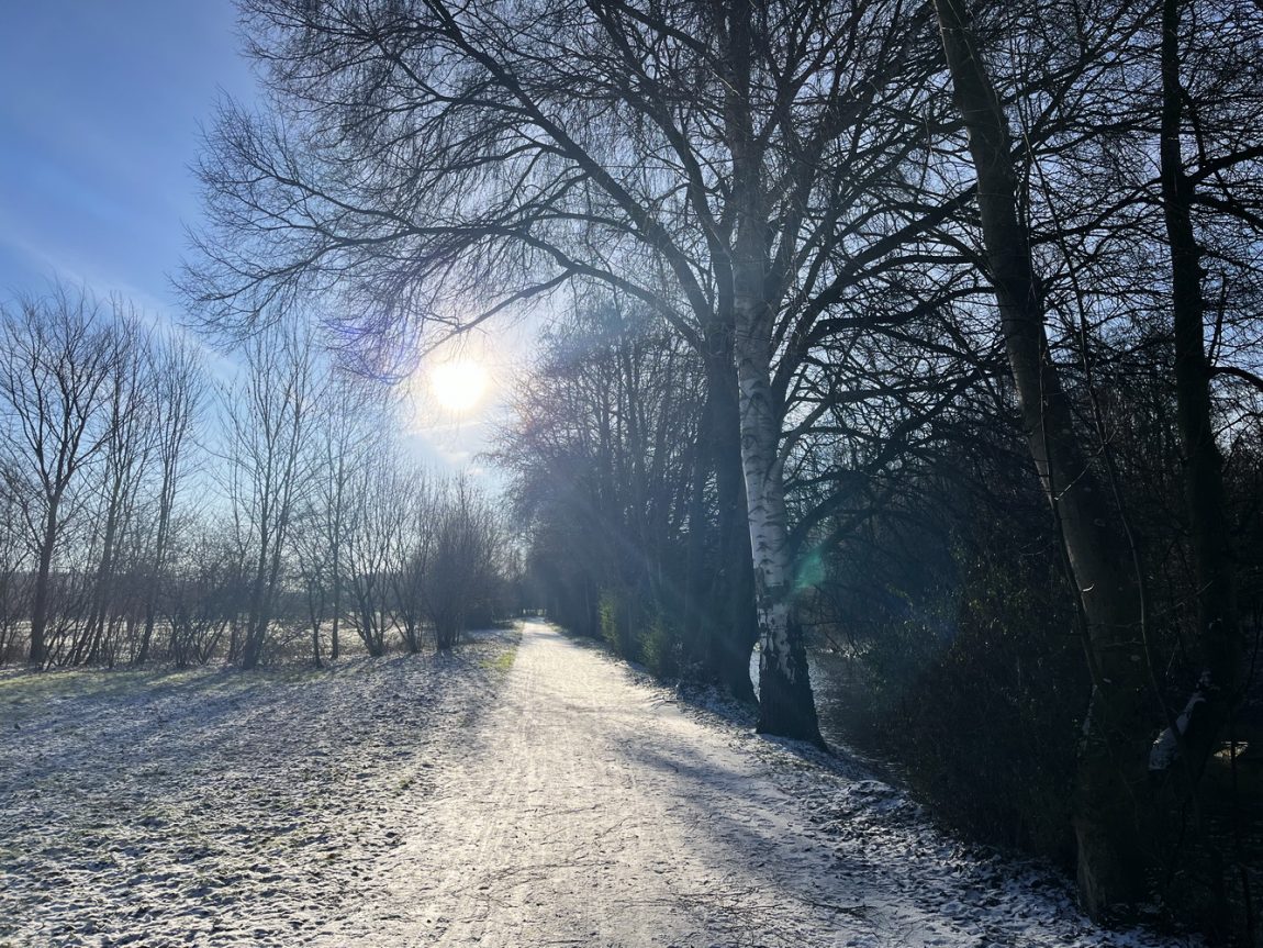 benbino Winter Schnee Puderzucker Sauerland Menden Kindergeburtstag Download Deko Herunterladen Beagle Hunderunde Winterwonderland Winterspaziergang blog Schneewanderung