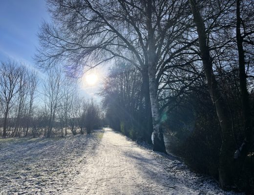 benbino Winter Schnee Puderzucker Sauerland Menden Kindergeburtstag Download Deko Herunterladen Beagle Hunderunde Winterwonderland Winterspaziergang blog Schneewanderung