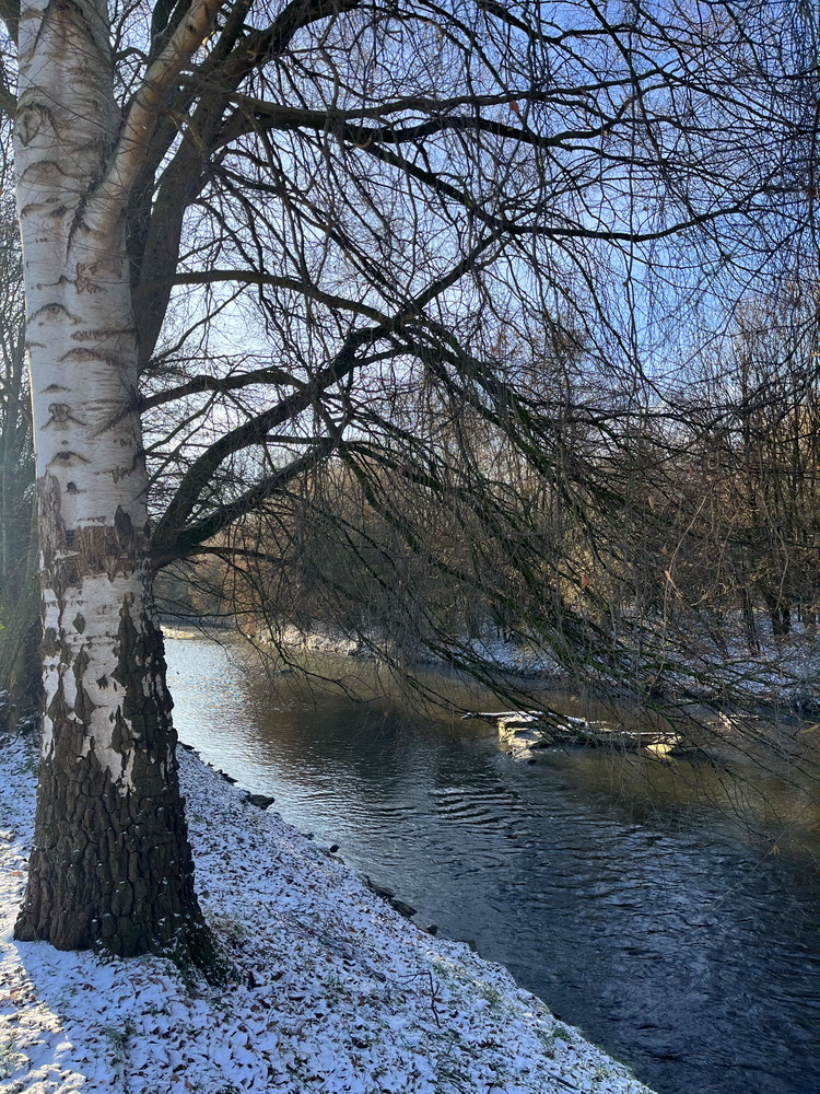benbino Winter Schnee Puderzucker Sauerland Menden Kindergeburtstag Download Deko Herunterladen Beagle Hunderunde Winterwonderland Winterspaziergang blog Schneewanderung