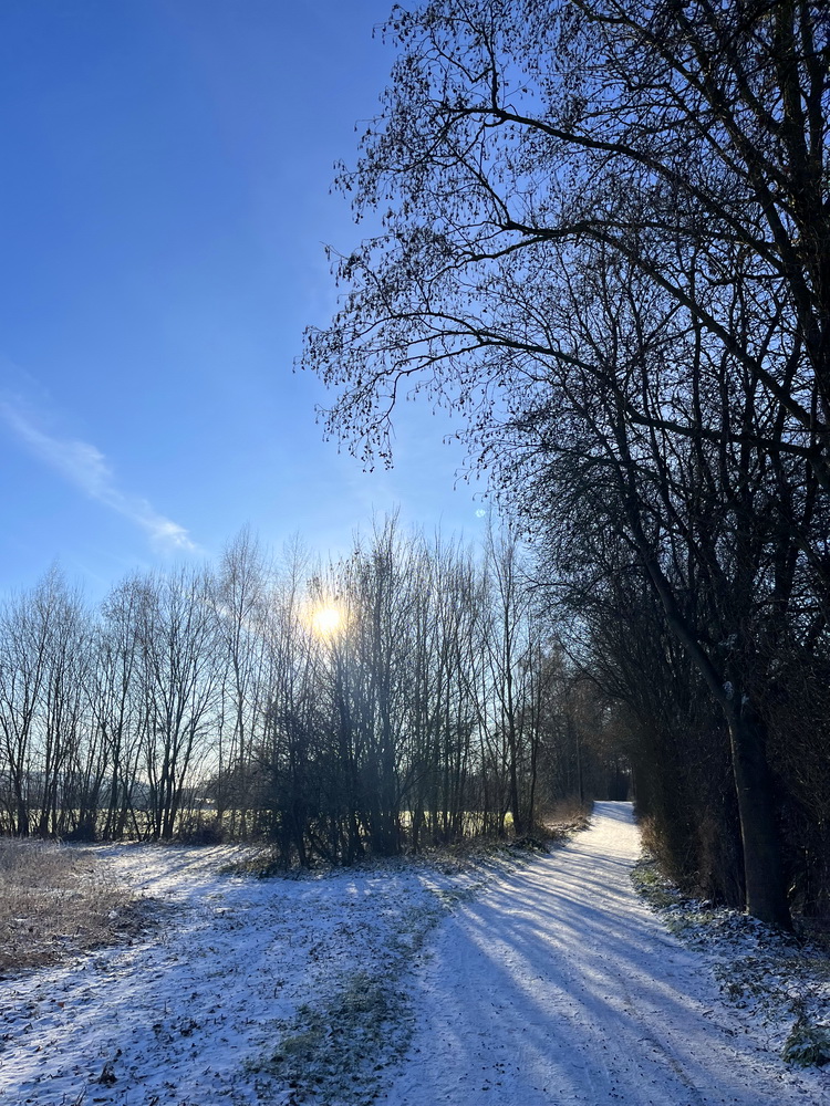 benbino Winter Schnee Puderzucker Sauerland Menden Kindergeburtstag Download Deko Herunterladen Beagle Hunderunde Winterwonderland Winterspaziergang blog Schneewanderung 