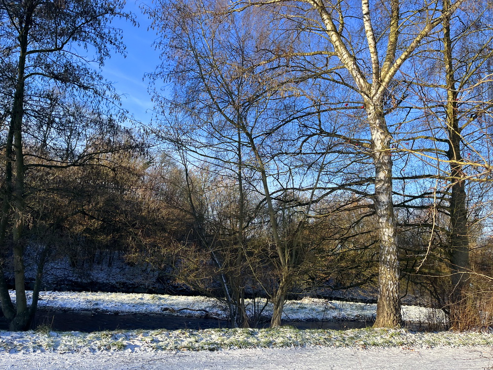 benbino Winter Schnee Puderzucker Sauerland Menden Kindergeburtstag Download Deko Herunterladen Beagle Hunderunde Winterwonderland Winterspaziergang blog Schneewanderung