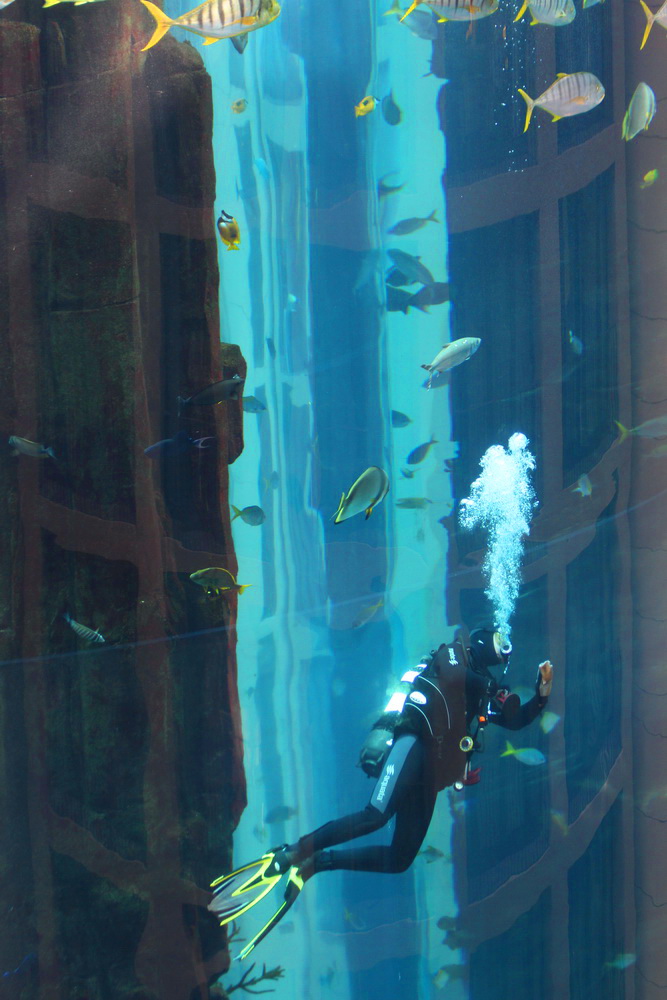 Berlin Hauptstadt Städtetrip Städtereise Urlaub benbino Reisebericht Spree Eastside Galerie Fernsehturm Dom Kanzleramt Kuppel Berlin Brandenburger Tor KaDeWe Olympiastadion Potsdamer Platz Checkpoint Charly Reichstag