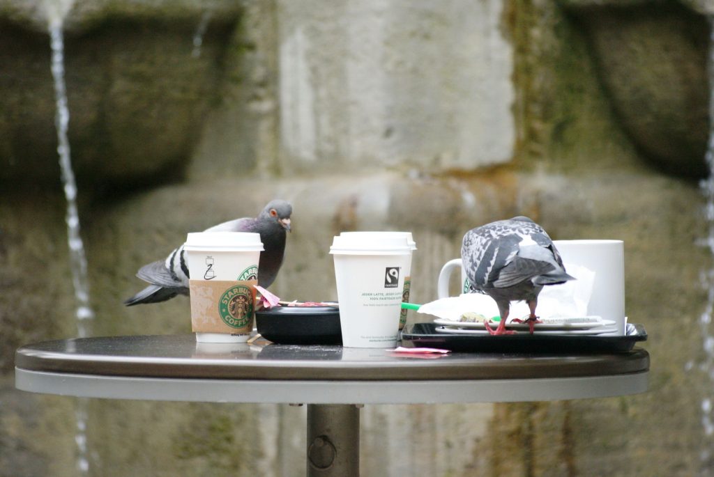 Hamburg Städtetrip Städtereise Urlaub benbino Reisebericht Elbe Riverside Hotel 20up Bar Fischmarkt Bonscherei Boardinghouse Hafenrundfahrt Bonscherei Miniatur Wunderland