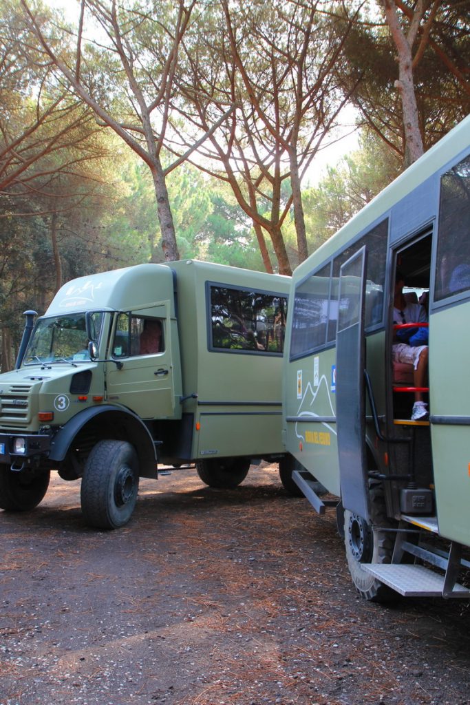 AIDA westliches Mittelmeer Kreuzfahrt Mallorca, Sardinien, Neapel, Vesuv, Rom, Pisa, Korsika, Barcelona, Costa Smeralda, benbino