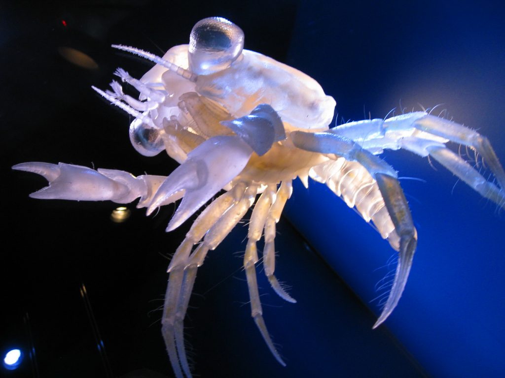 Rostock Yachthafenresidenz Hohe Düne, Stralsund, Ozeaneum, Seebad Ostsee Urlaub benbino Reisebericht