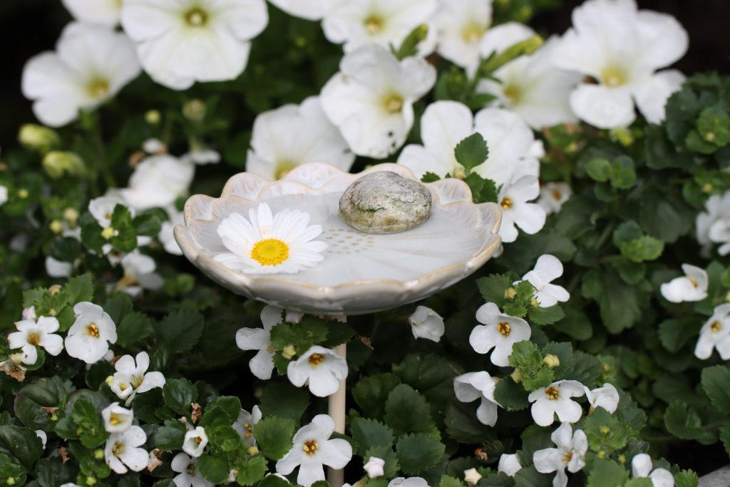 benbino, Insektentränke, Wassertränke, Garten, Insekten, Bienentränke, Schmetterlingstränke, Bienen, Schmetterlinge, Insekten, Wasser, DIY, selber bauen, Insektentränke selber bauen, Anleitung, kostenlose Anleitung, freebie