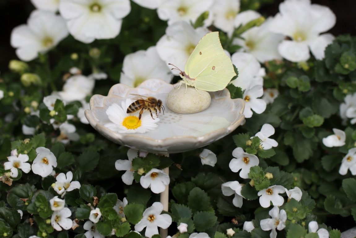 benbino, Insektentränke, Wassertränke, Garten, Insekten, Bienentränke, Schmetterlingstränke, Bienen, Schmetterlinge, Insekten, Wasser, DIY, selber bauen, Insektentränke selber bauen, Anleitung, kostenlose Anleitung, freebie