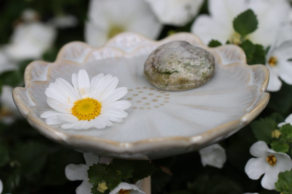 benbino, Insektentränke, Wassertränke, Garten, Insekten, Bienentränke, Schmetterlingstränke, Bienen, Schmetterlinge, Insekten, Wasser, DIY, selber bauen, Insektentränke selber bauen, Anleitung, kostenlose Anleitung, freebie