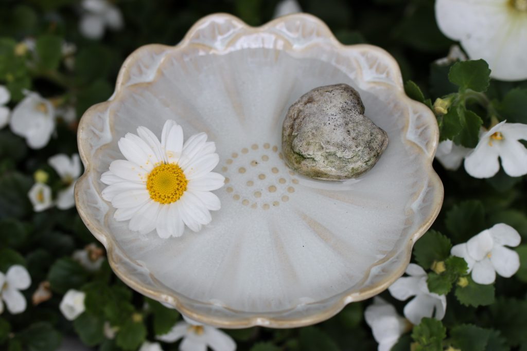 benbino, Insektentränke, Wassertränke, Garten, Insekten, Bienentränke, Schmetterlingstränke, Bienen, Schmetterlinge, Insekten, Wasser, DIY, selber bauen, Insektentränke selber bauen, Anleitung, kostenlose Anleitung, freebie