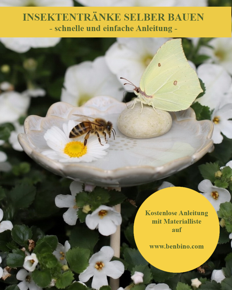 benbino, Insektentränke, Wassertränke, Garten, Insekten, Bienentränke, Schmetterlingstränke, Bienen, Schmetterlinge, Insekten, Wasser, DIY, selber bauen, Insektentränke selber bauen, Anleitung, kostenlose Anleitung, freebie