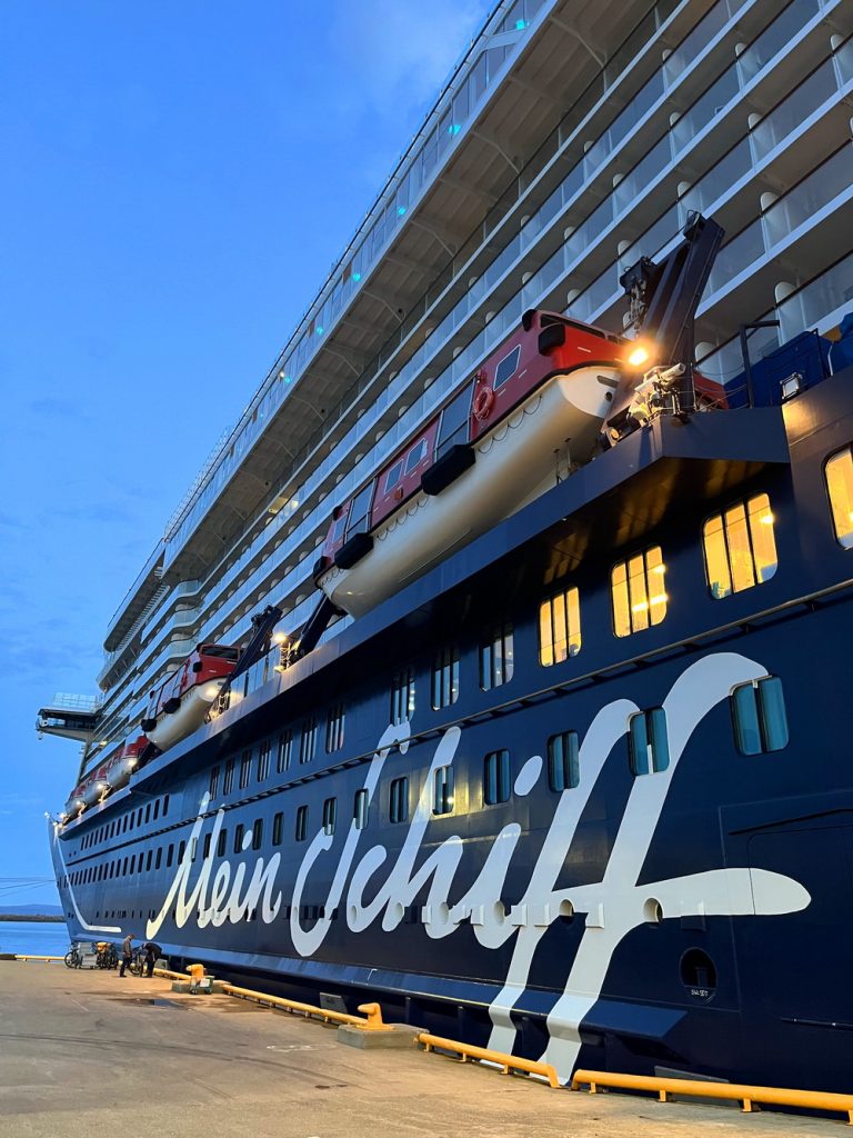 Norwegen, norway, norge, Schiffsreise, Kreuzfahrt, Mein Schiff, Nordkap, benbino, Honnigsvag, Rentier