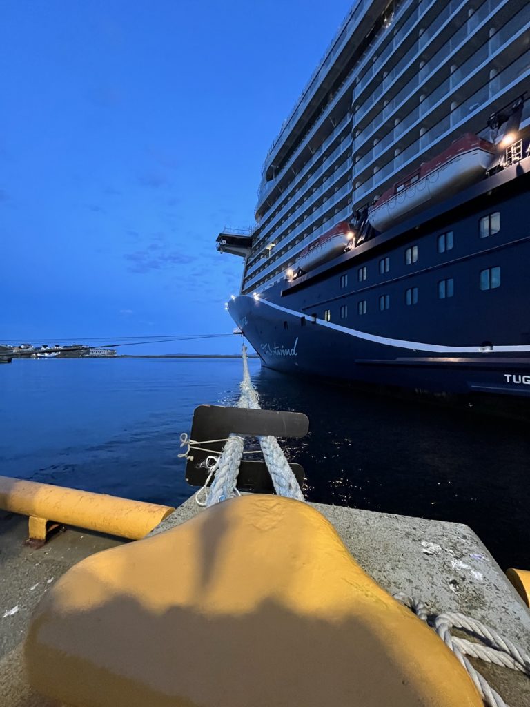 Norwegen, norway, norge, Schiffsreise, Kreuzfahrt, Mein Schiff, Nordkap, benbino, Honnigsvag, Rentier