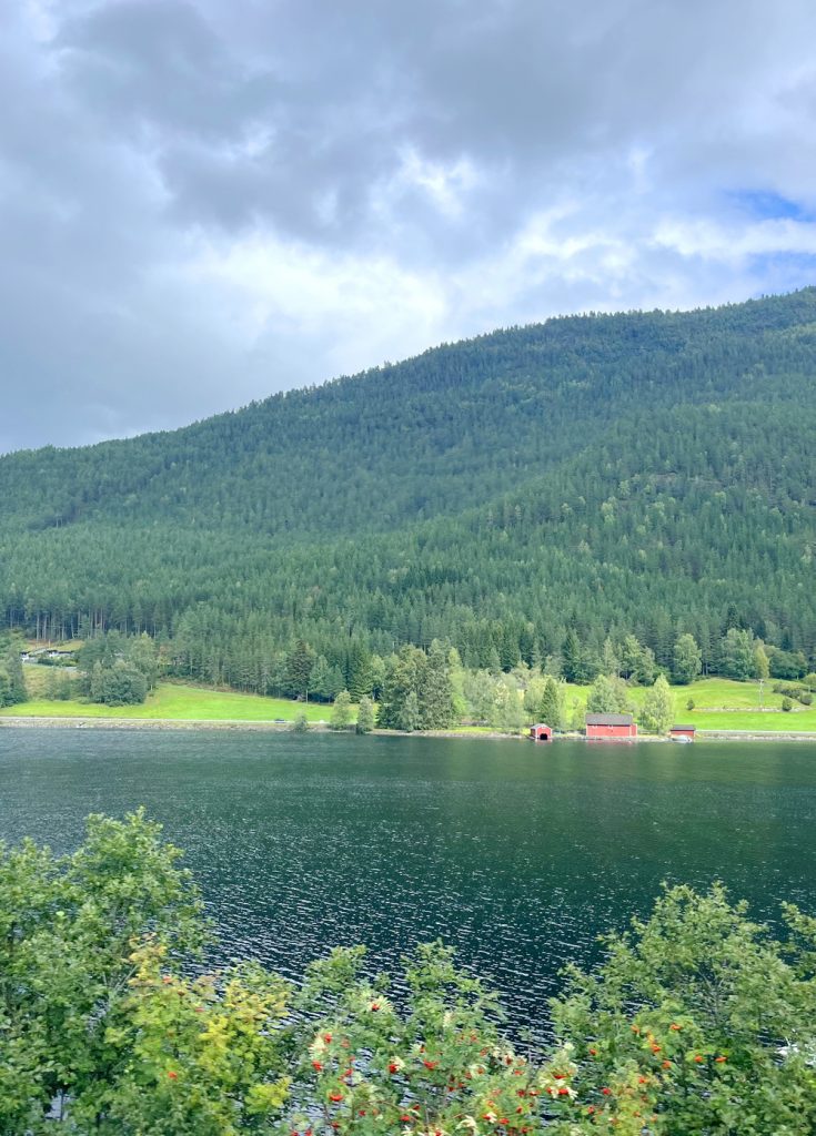 Norwegen, norway, norge, Schiffsreise, Kreuzfahrt, Mein Schiff, Nordkap, benbino, Honnigsvag, Rentier