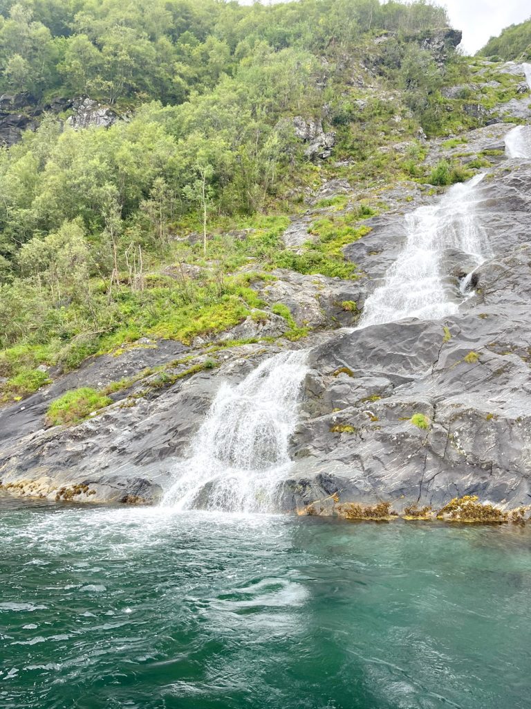 Norwegen, norway, norge, Schiffsreise, Kreuzfahrt, Mein Schiff, Nordkap, benbino, Honnigsvag, Rentier