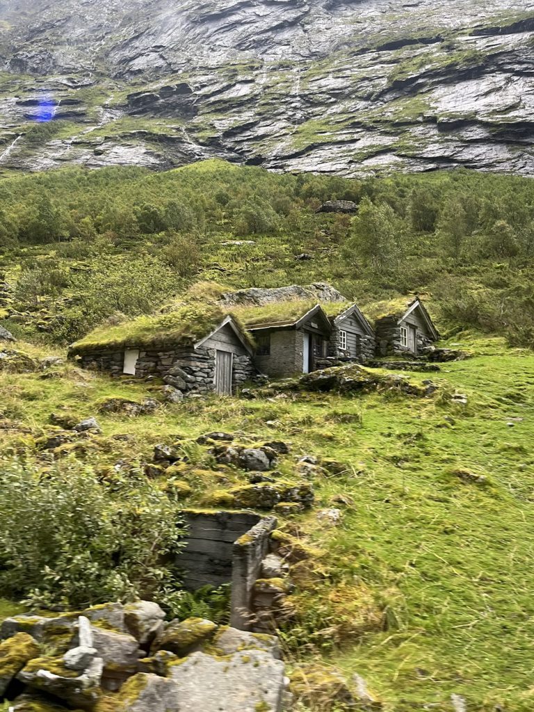 Norwegen, norway, norge, Schiffsreise, Kreuzfahrt, Mein Schiff, Nordkap, benbino, Honnigsvag, Rentier