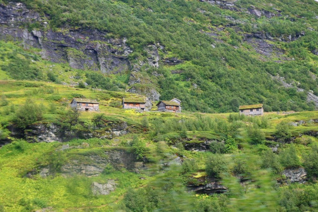 Norwegen, norway, norge, Schiffsreise, Kreuzfahrt, Mein Schiff, Nordkap, benbino, Honnigsvag, Rentier