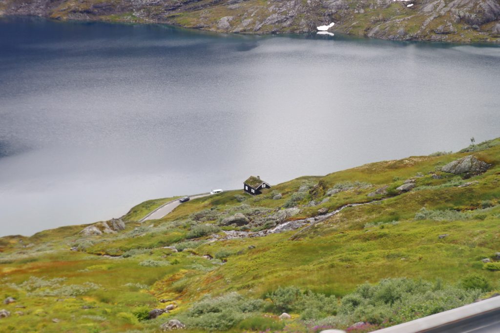 Norwegen, norway, norge, Schiffsreise, Kreuzfahrt, Mein Schiff, Nordkap, benbino, Honnigsvag, Rentier