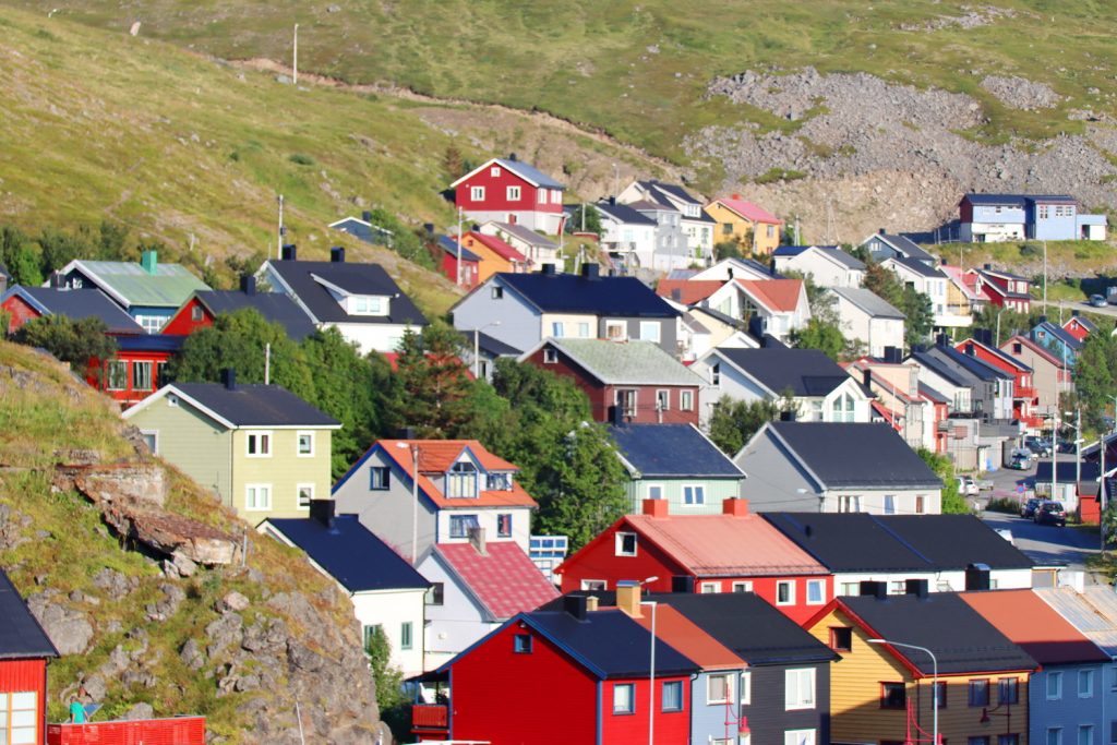 Norwegen, norway, norge, Schiffsreise, Kreuzfahrt, Mein Schiff, Nordkap, benbino, Honnigsvag, Rentier