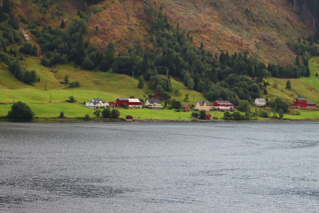 Norwegen, norway, norge, Schiffsreise, Kreuzfahrt, Mein Schiff, Nordkap, benbino, Honnigsvag, Rentier
