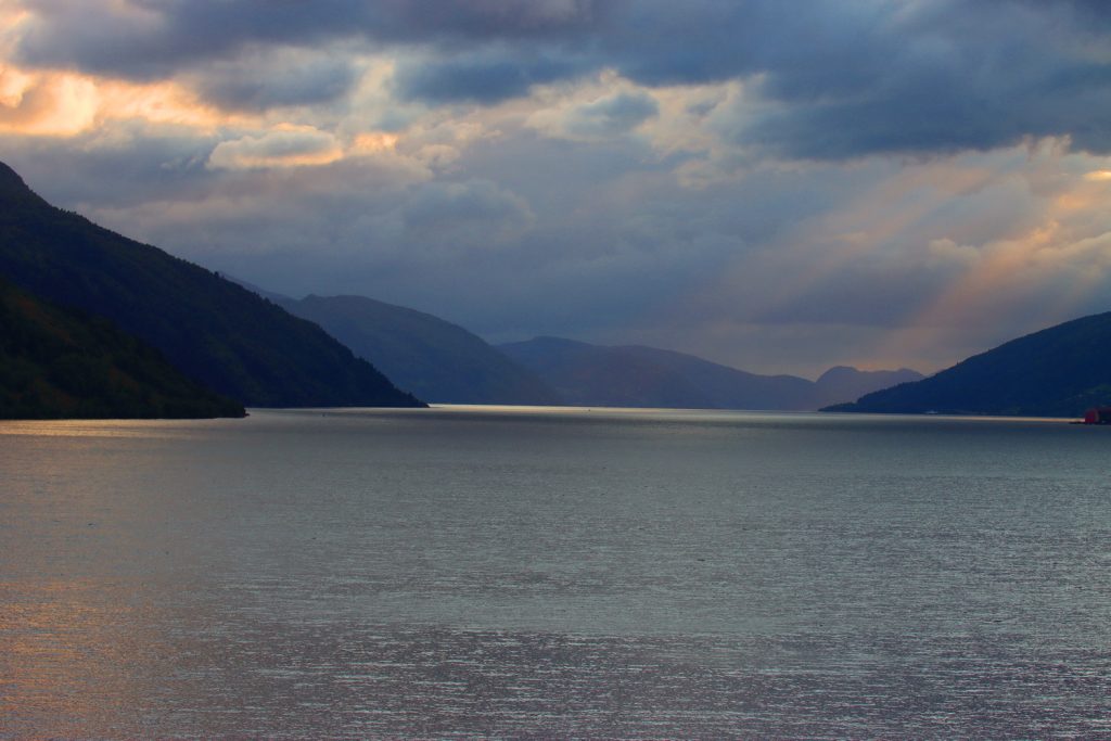 Norwegen, norway, norge, Schiffsreise, Kreuzfahrt, Mein Schiff, Nordkap, benbino, Honnigsvag, Rentier
