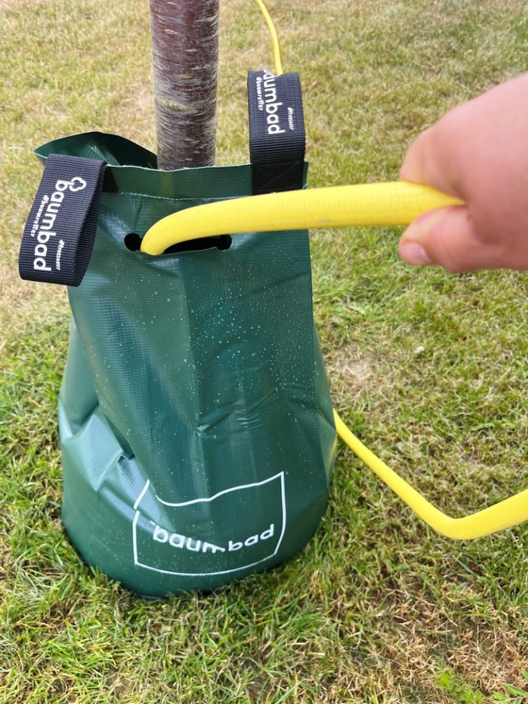 benbino, Monatsrückblick, Juli 2026, Tschüss Juni hallo Juli, Juli, Gartenmonat, Gartenmonat Juli 2026, Unser Garten im Juli 2026, Rückblick, Gartenrückblick