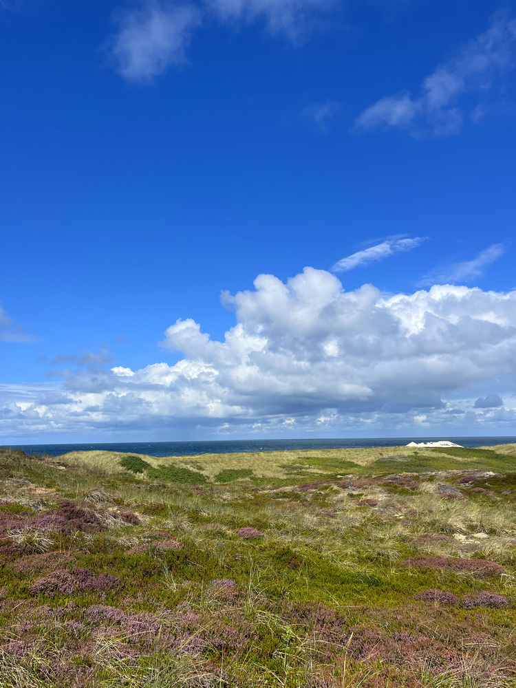 benbino Sylt 2026 Kupferkanne Heide Dünen, Ellenbogen, Mohnkuchen, Leuchtturm,