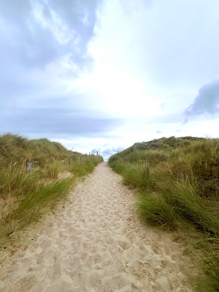 benbino Sylt 2026 Kupferkanne Heide Dünen, Ellenbogen, Mohnkuchen, Leuchtturm,
