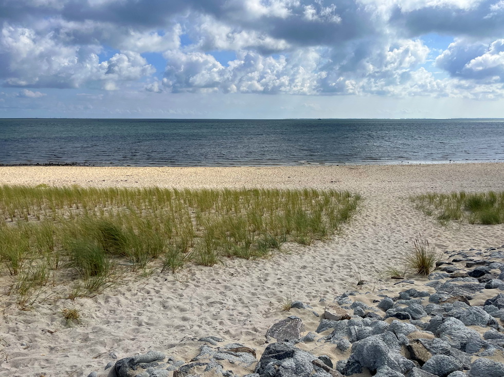 benbino Sylt 2026 Kupferkanne Heide Dünen, Ellenbogen, Mohnkuchen, Leuchtturm,