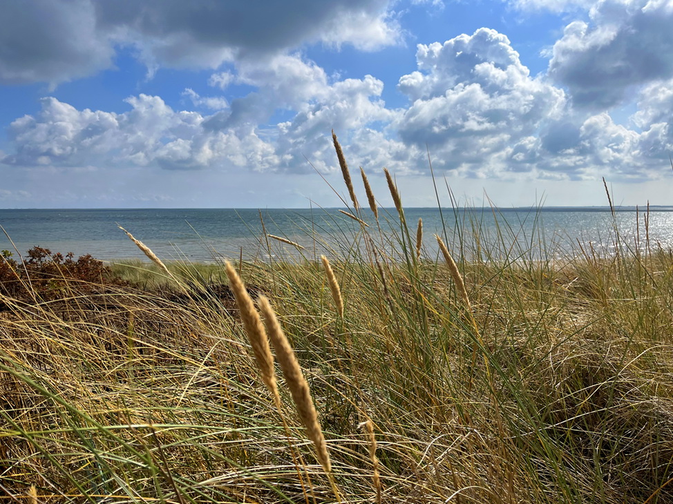 benbino Sylt 2026 Kupferkanne Heide Dünen, Ellenbogen, Mohnkuchen, Leuchtturm,