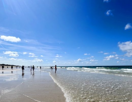 benbino Sylt 2026 Kupferkanne Heide Dünen, Ellenbogen, Mohnkuchen, Leuchtturm,