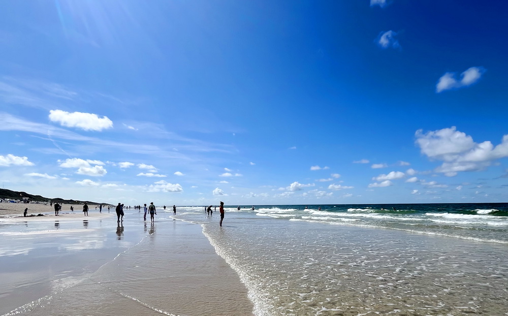 benbino Sylt 2026 Kupferkanne Heide Dünen, Ellenbogen, Mohnkuchen, Leuchtturm,