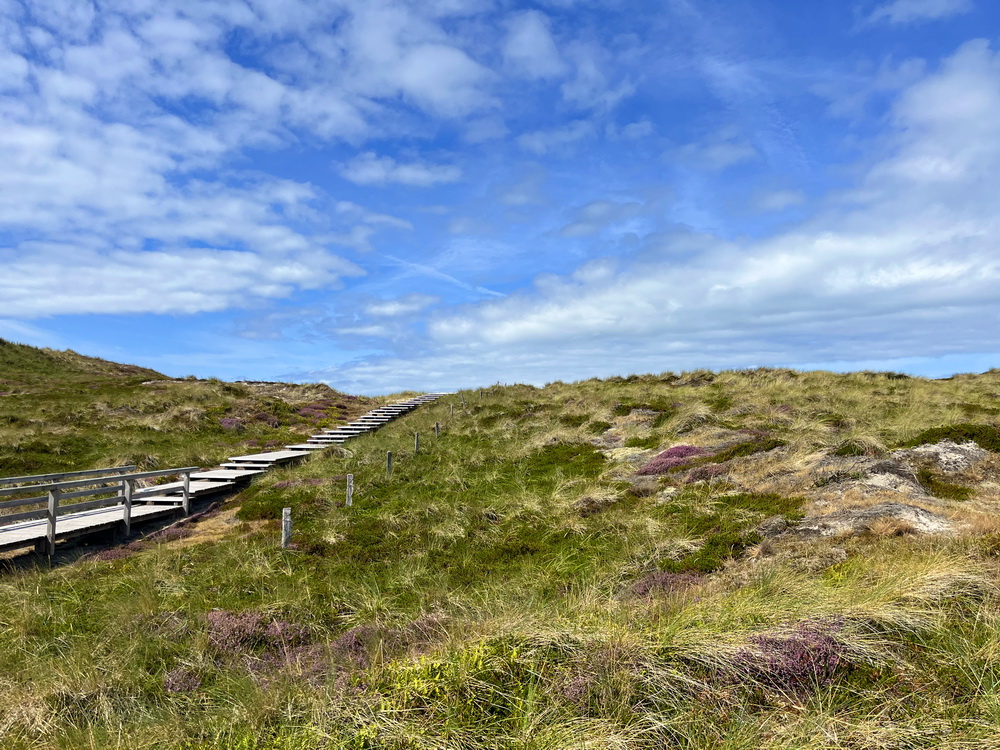 benbino Sylt 2026 Kupferkanne Heide Dünen, Ellenbogen, Mohnkuchen, Leuchtturm,